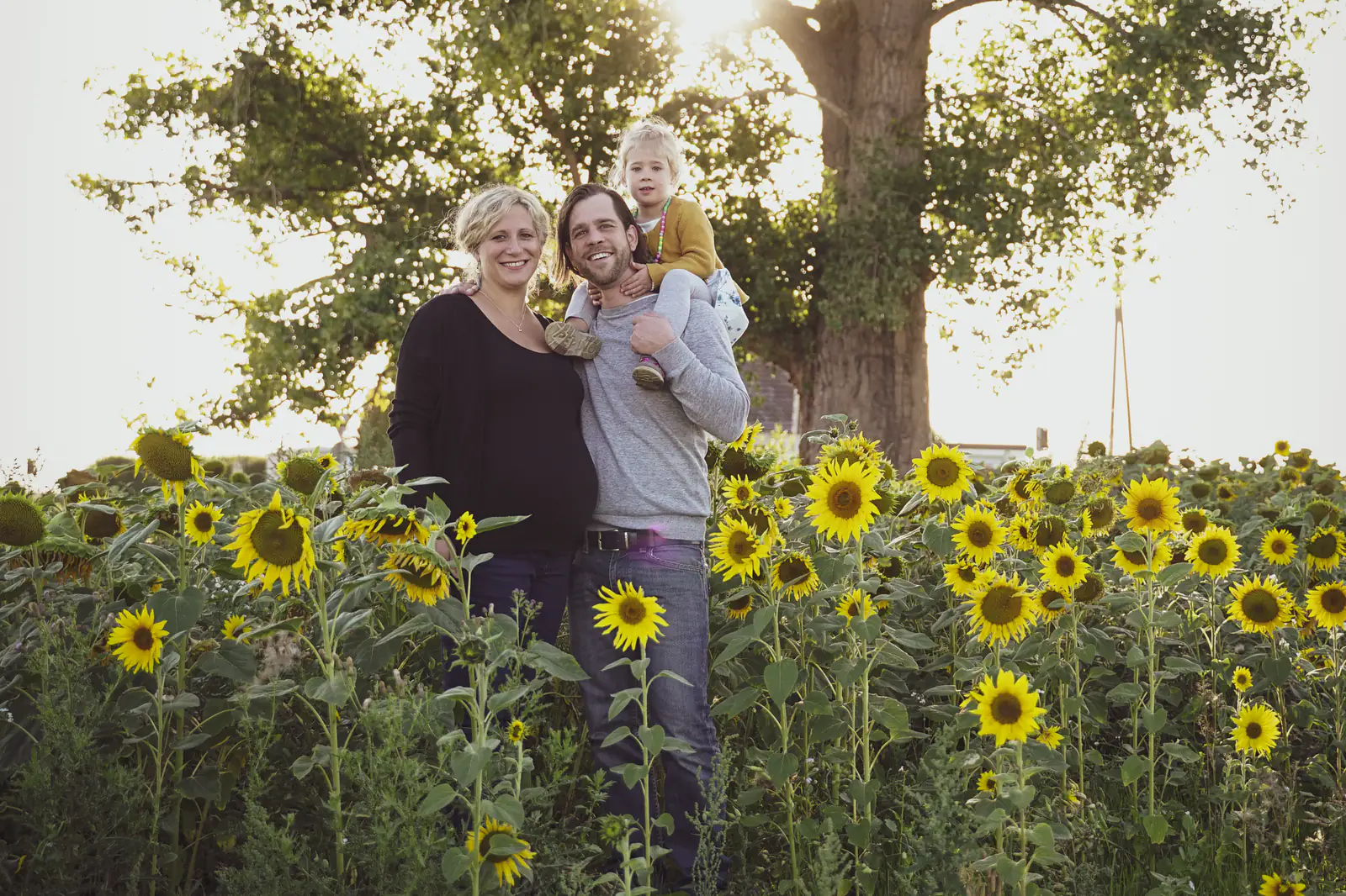 Eine Familie steht zwischen Sonnenblumen unter einem großen Baum, ein Kind sitzt auf den Schultern des Vaters.